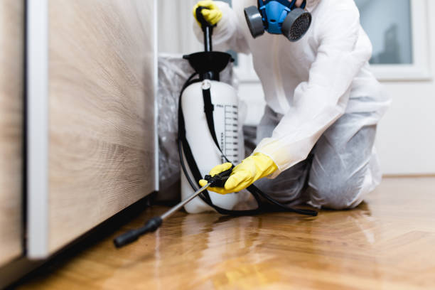 Best Cockroach Control Services  in Exandria, AL