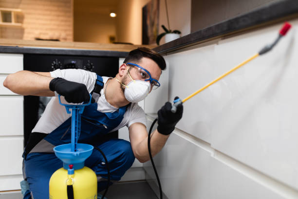 Pest Control for Restaurants in Alexandria, AL