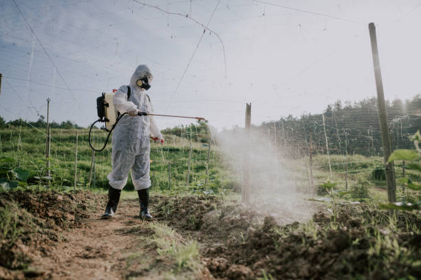 Best Pest Removal Services  in Exandria, AL