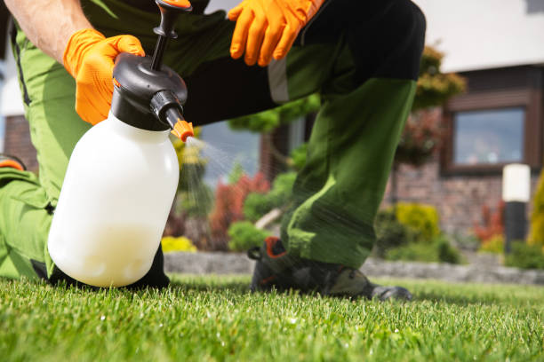 Best Wasp Removal Services  in Exandria, AL