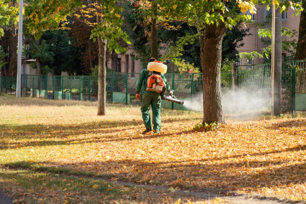 Best Termite Control Services  in Exandria, AL