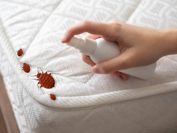 Best Mosquito Control Services  in Exandria, AL