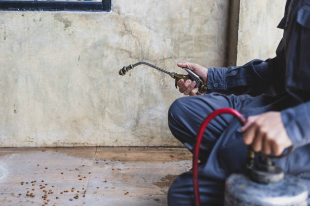 Best Flea Control Services  in Exandria, AL