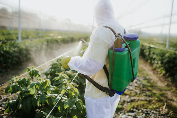 Best Best Pest Control Companies  in Exandria, AL